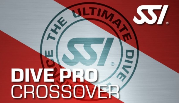 CROSSOVER SSI