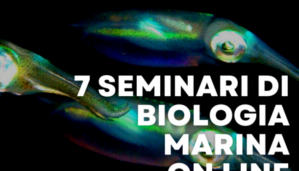 seminario di biologia marina con Emilio Mancuso
