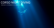 Corso di immersione notturna e visibilità ridotta