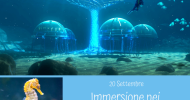 Immersione ai Giardini di Nemo