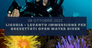 IMMERSIONE LEVANTO - RISERVATA BREVETTATI OPEN WATER DIVER